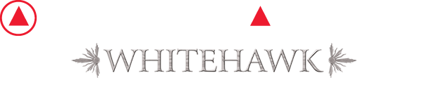 objectsofartshows.com Logo